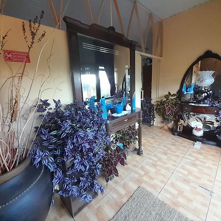 Hotel Gite Cantinho Davo Campea Bagian luar foto